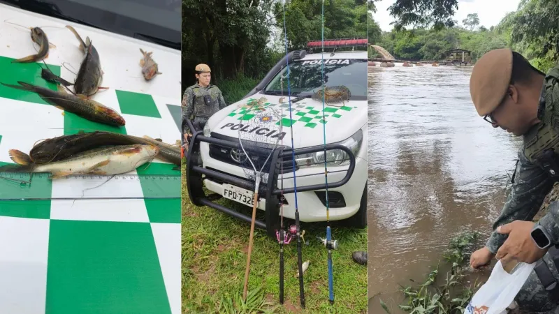 Peixes foram devolvidos para o ambiente aquático.