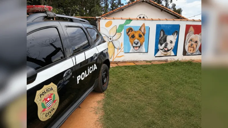 Fato gerou preocupação entre moradores da comunidade em razão da agressividade demonstrada pelo cachorro.